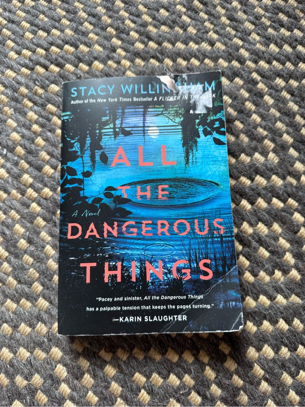 All The Dangerous Things by Stacy Willingham - Blue & Black Cover